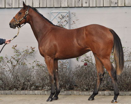 Lot 88